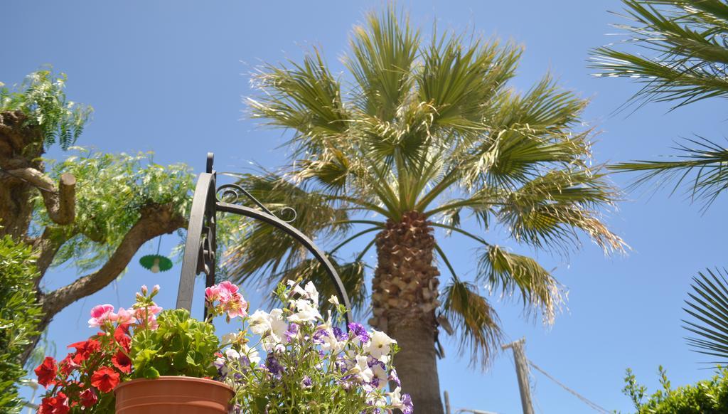 Ansise Guest House Lido di Noto Exteriér fotografie